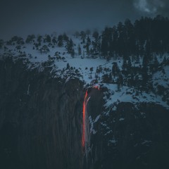 Field Journal Companion - Winter 2021/22