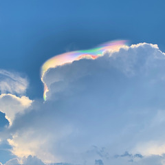 Wrong or Right  Ft. luvox