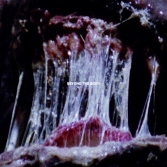 Textbeak - Skin And Bones Radio (For Agate)
