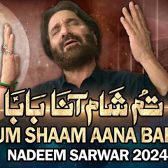 Tum Shaam Aana Baba  Nadeem Sarwar  45th Album - 2024  1446