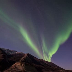 Best Aurora Quest From Denali Tours Review