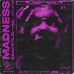 SnappyJR - Madness