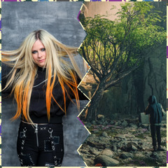 Avril (x) Mfintity