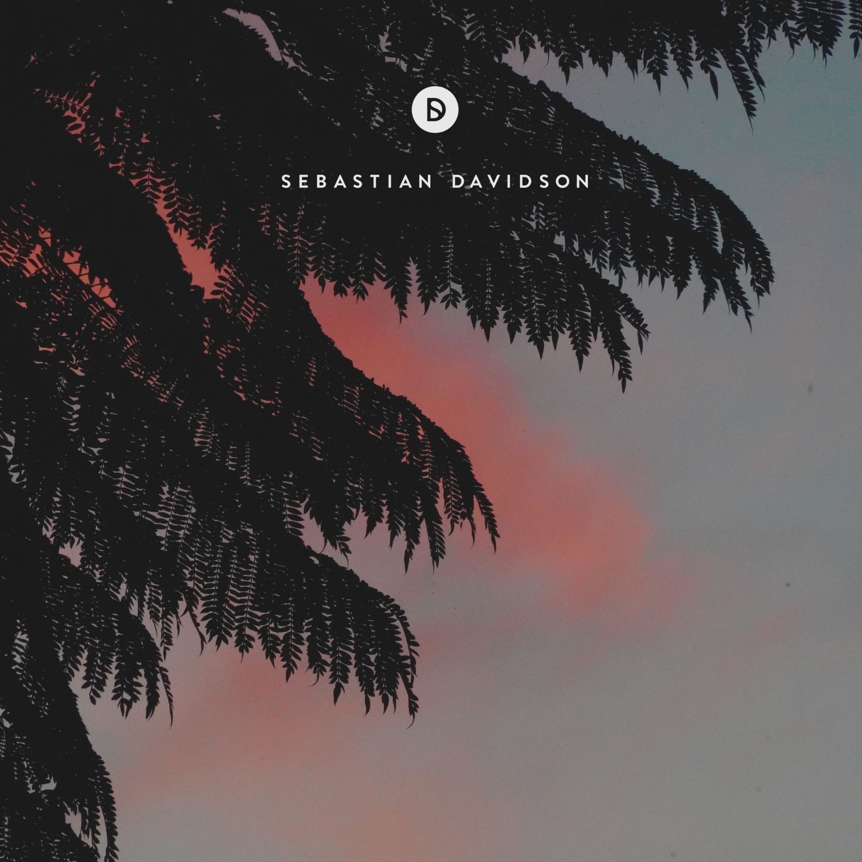 Voyage of Discovery by Sebastian Davidson