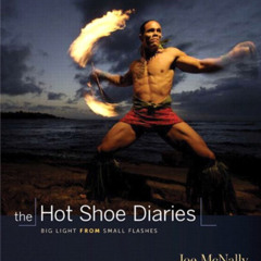 [Access] EPUB ✓ Hot Shoe Diaries, The: Big Light from Small Flashes (Voices That Matt