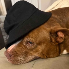 Mac Miller (UN)Released Songs