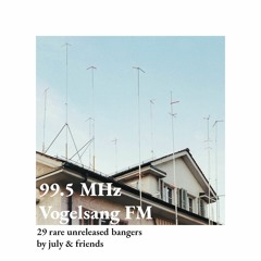 99.5 Vogelsang FM Unreleased Shit Mix