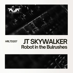 JT Skywalker - Robot in the Bulrushes