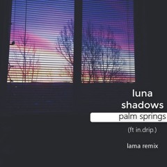 Luna Shadows - Palm Springs ft. In.Drip. ( Lama Remix)