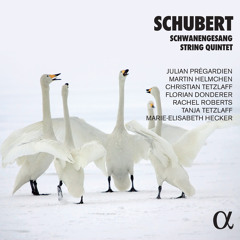 String Quintet in C Major, D. 956: III. Scherzo. Presto - Trio. Andante sostenuto