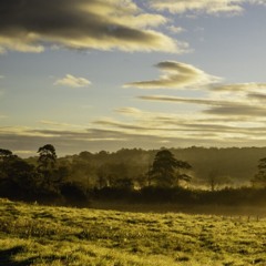 Thanks For Loving Me- Katey Laural-PLAPA