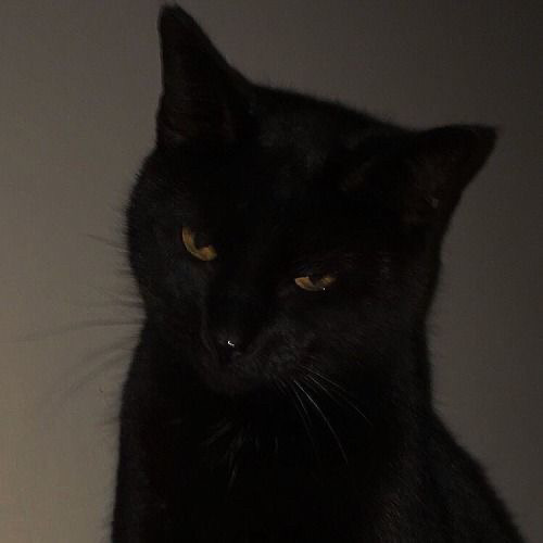 <3