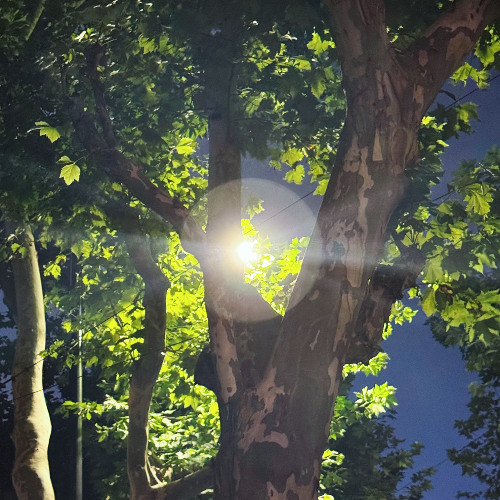 Pended Sets: three parts all together