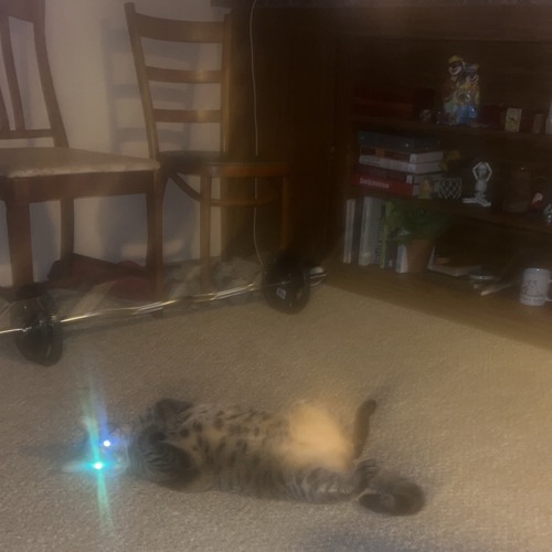 ripaidosquad(prod.loganja)