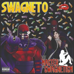 Introduction to Swagnetism