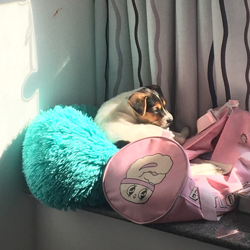 say that you’re mine (valentine ft jso) // cover