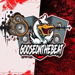 Gooseonthebeat -This time Next time
