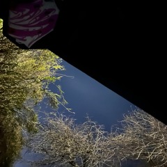 Untitled w/ Dan: Feb 26, 2023