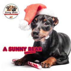 Willow’s First Snow