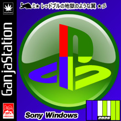 Sony Windows