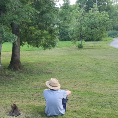 ballade blues harmonica  live 10 06 2025