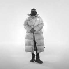 Untitled Birds (Dr. Birds Griselda Remix)