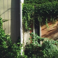 Ｓｗｅｐｔ Ａｗａｙ ｆｔ．Ｖｉｚｃｏｒ