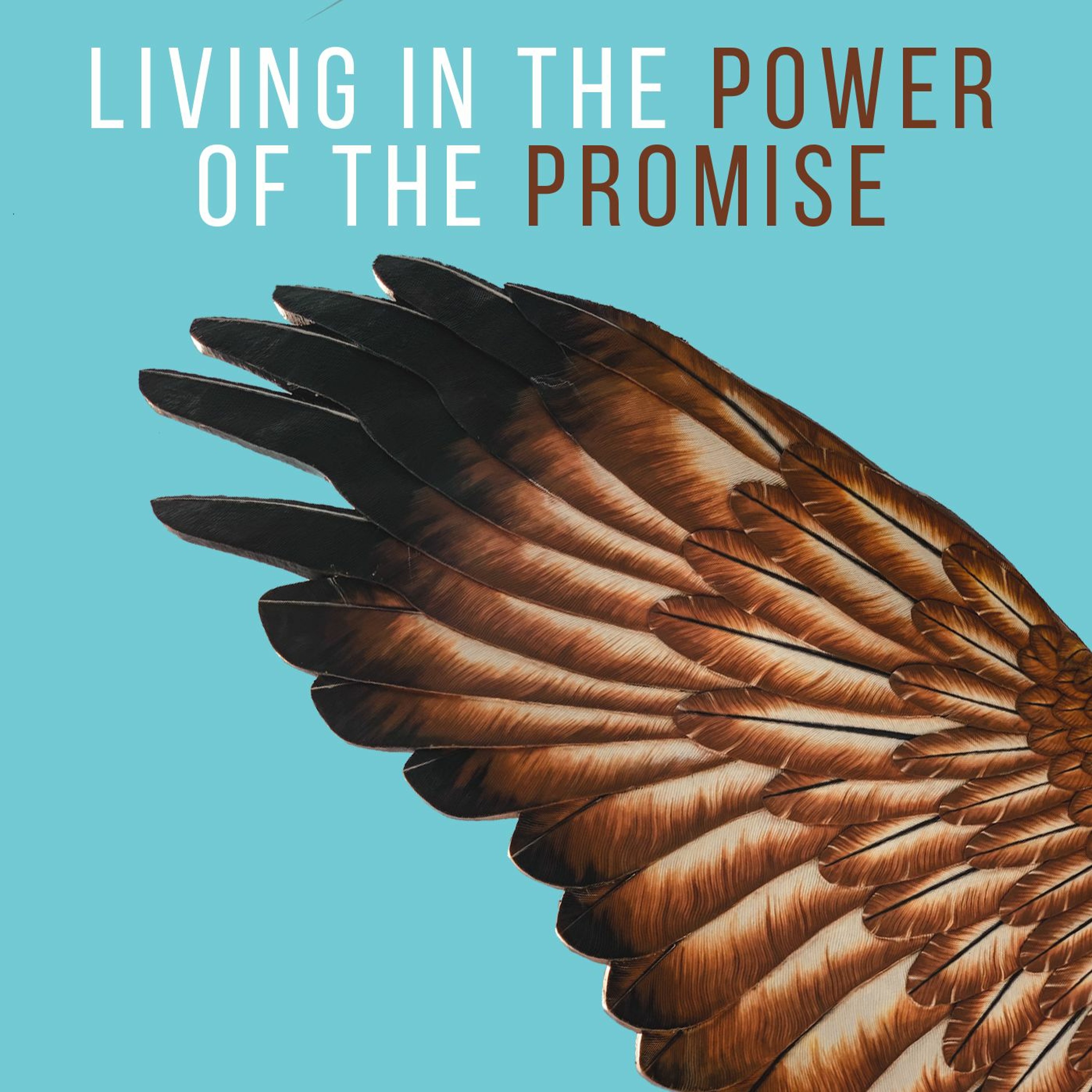 Living in the Power of the Promise episode artwork