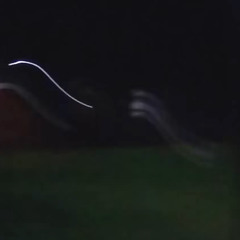 1 of us (prod h4techris)