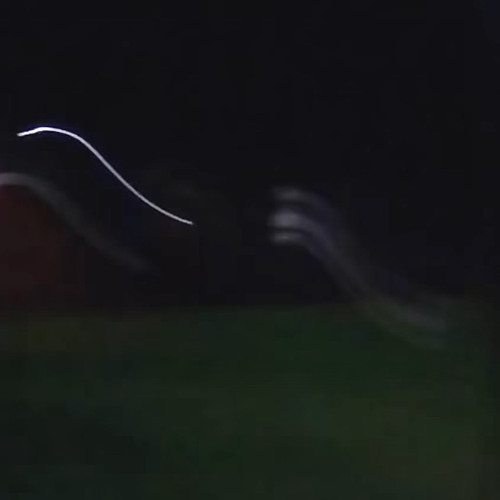 1 of us (prod h4techris)