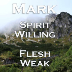 Spirit Willing, Flesh Weak