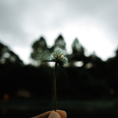สุดทาง-phumin