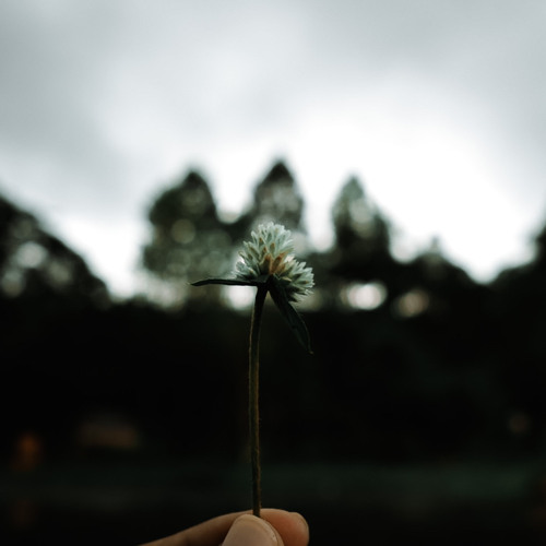 สุดทาง-phumin