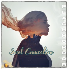 Soul Connection