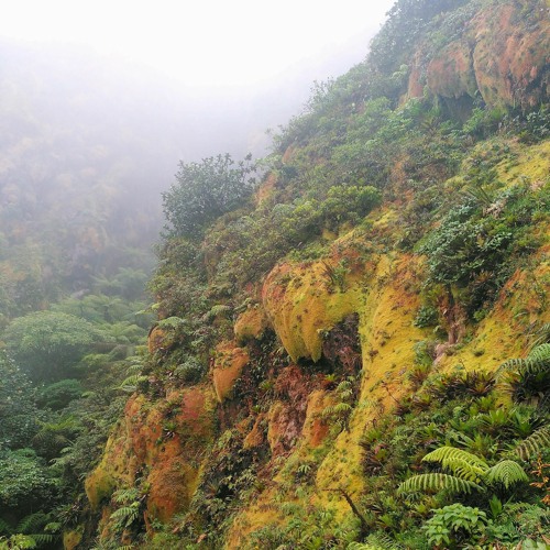 UNRELEASED PRODUCTION