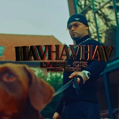 Lvbel C5 - HavHavHav (Remix).mp3