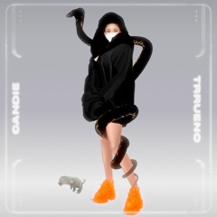 TRR-RAVE2020: CANDIE (((02.04