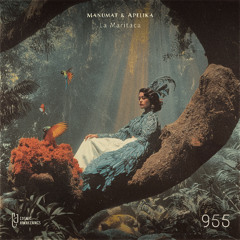 La Maritaca (Original Mix)