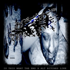 MAGGOTSORE - IS THIS WHAT THE EMO X ALT BITCHES LIKE