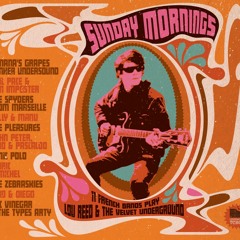 I'm Sticking With You (Lou Reed) - Doc Vinegar