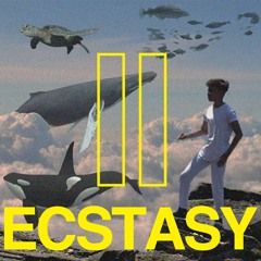 Ecstasy II