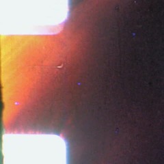 Motion Picture