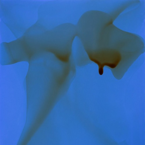 Gi Gi – Pumiced Voice