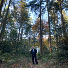 Swimful - 25 November 2025