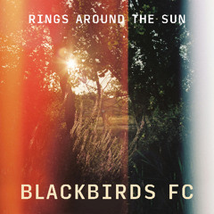 Rings Around the Sun