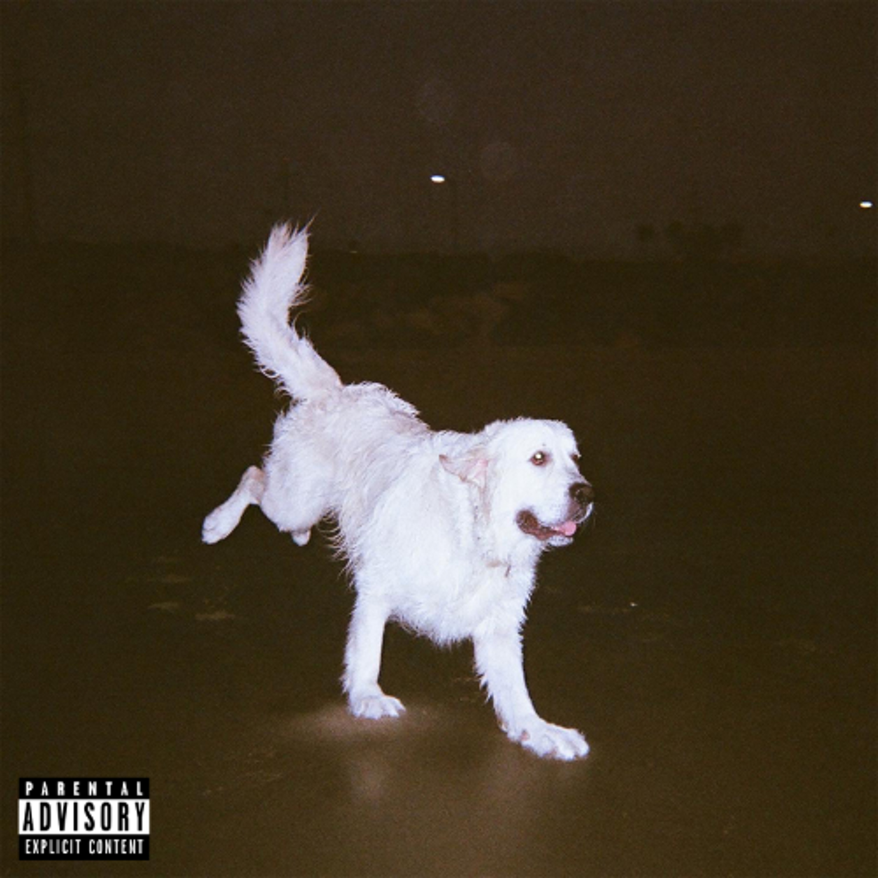 dog episode artwork