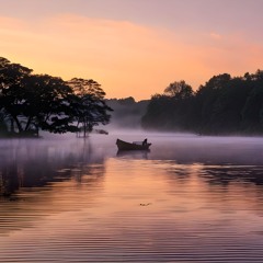 Tranquil waters