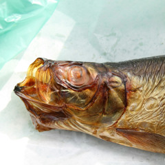 Ballade vom Fisch - Robert Gernhardt