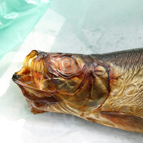 Ballade vom Fisch - Robert Gernhardt