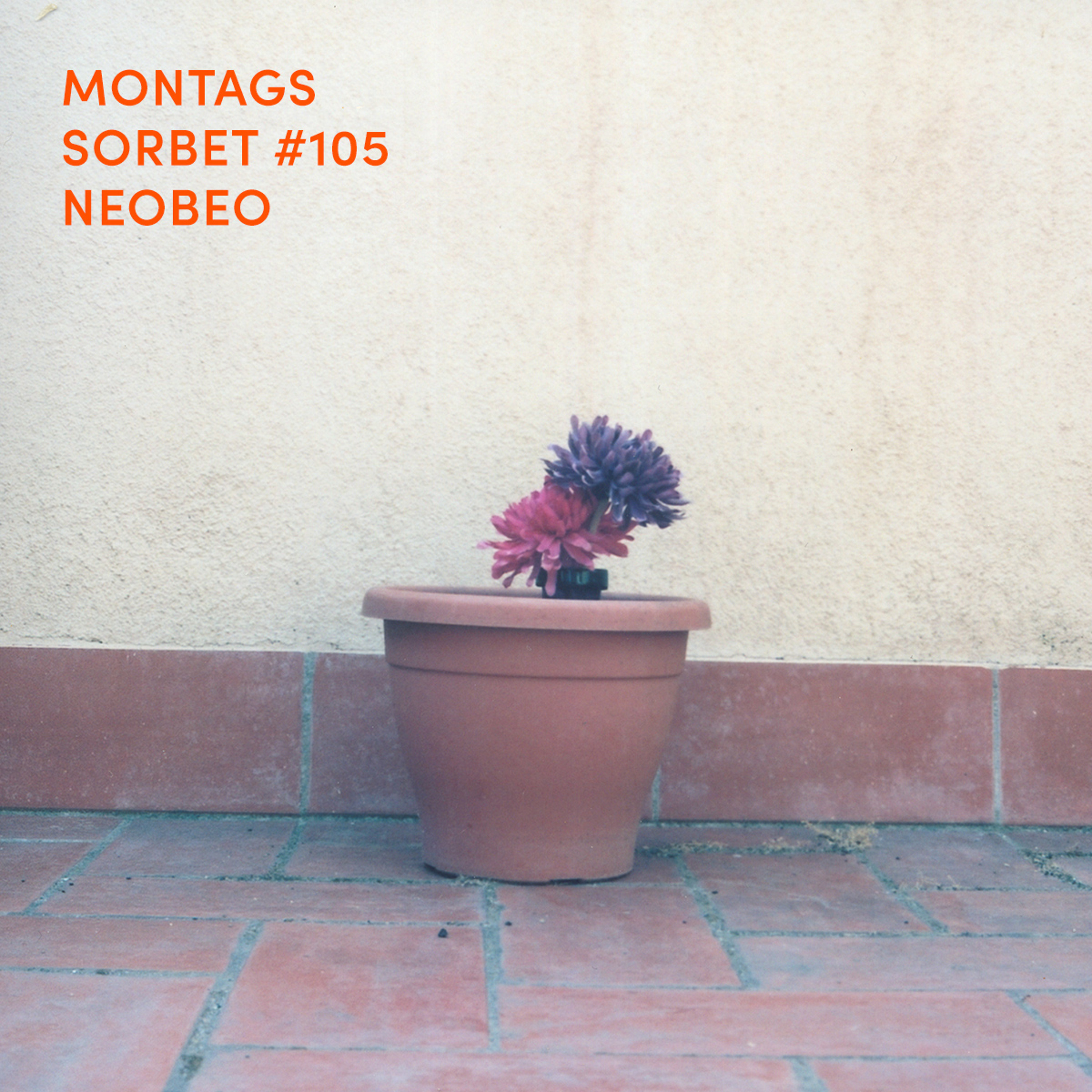 Montagssorbet mit Laut & Luise
